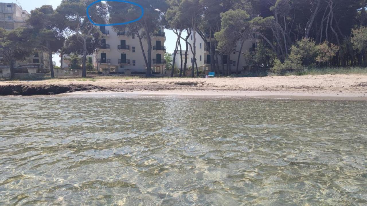 Suite Con Terrazzo Sul Mare E Discesa In Spiaggia A غالّيبولي المظهر الخارجي الصورة
